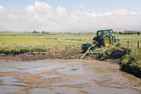 Earth bank slurry store