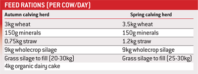 Flexible Feed Strategy To Overcome Forage Concerns - Farmers Weekly