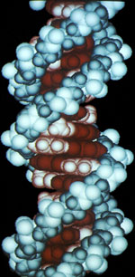 DNA