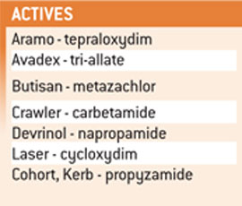 Actives table