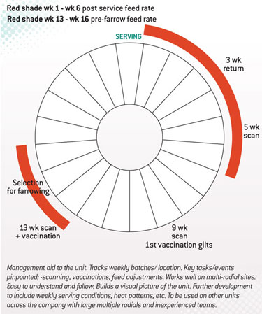 pig management wheel