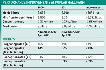 Poplar farm table