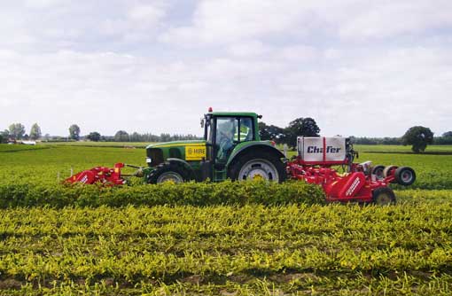 Potato haulm toppers: What are the options? - Farmers Weekly