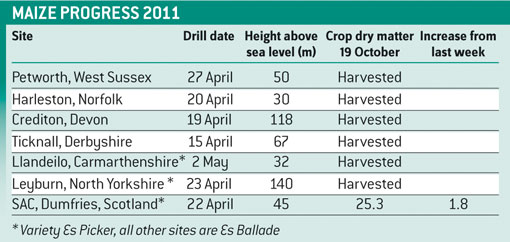 maize progress 28/10/11