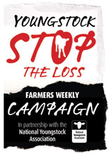 Youngstock-logo-resized2