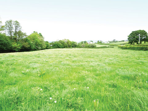 Ruthin