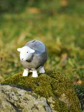 Herdy outside