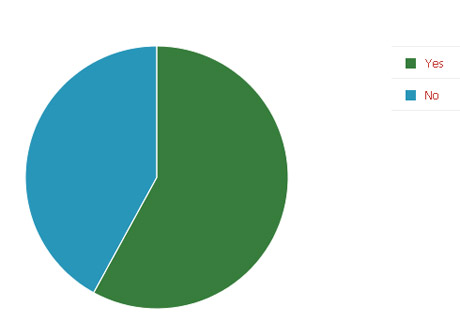 big cat poll pie chart