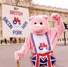 pig-protest-2
