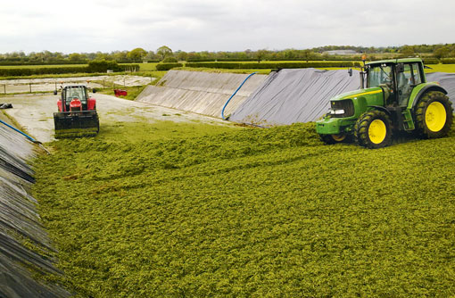 JE Riley silage clamp