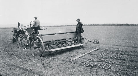 Beet drill