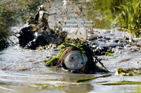 Bog snorkelling (c) Rex Features