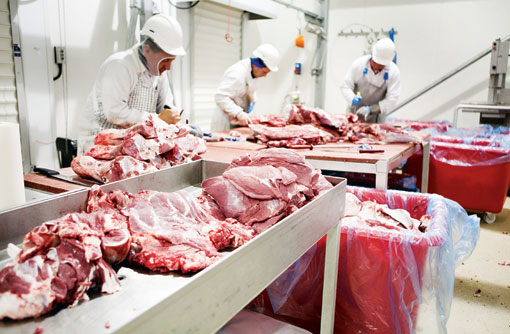 Veal production