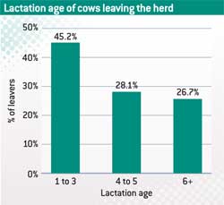 lactation-age