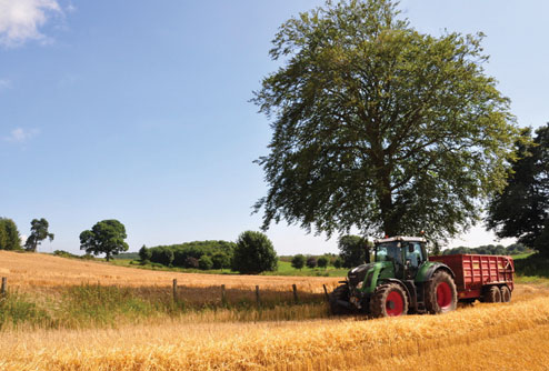 Winter barley - Balbirnie Home Farm