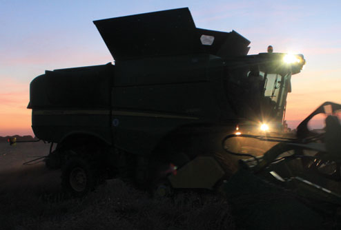 Oilseed rape at night - JoeNav