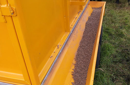 Solar-powered feeder