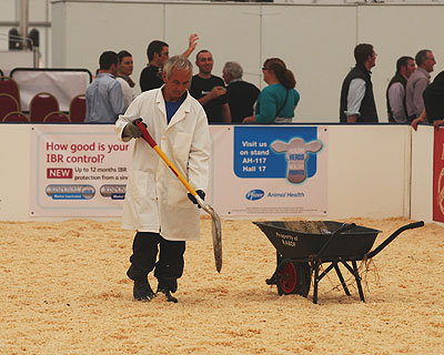 Livestock 2012 ring clearing