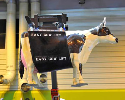 Livestock 2012 model of cow