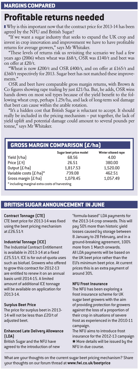 beet-profits