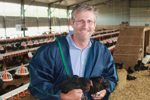 Norfolk Black chicken set for launch - Farmers Weekly