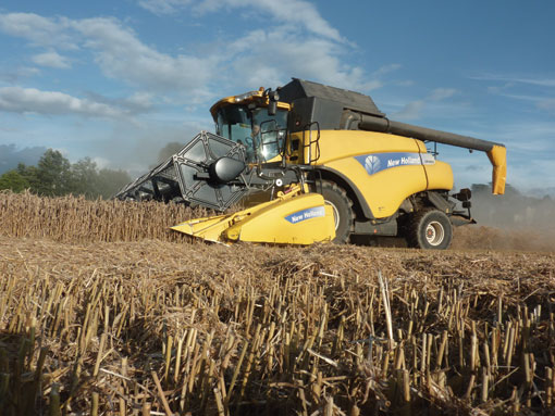 Harvest Highlights shot Simon