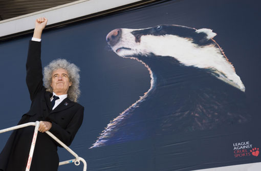 Brian May at launch of anti-cull campaign (c) Rex 