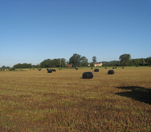 maize baling