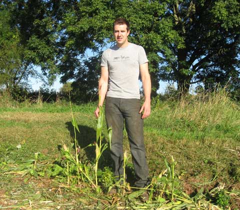 Nick Cavill maize baling