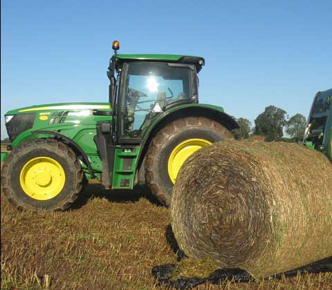 maize baling