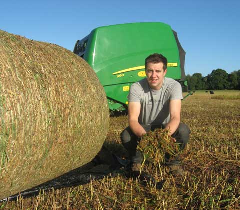 maize baling