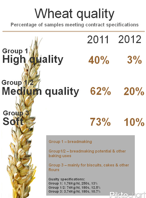 wheat quality infographic