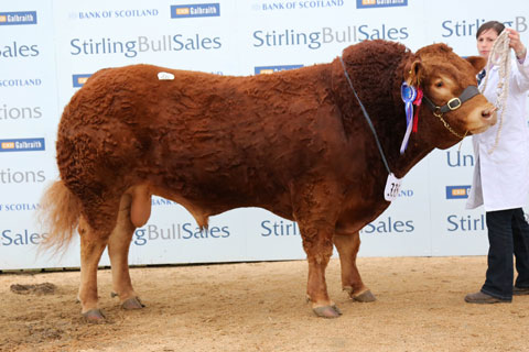 Stirling Bull Sales 2012