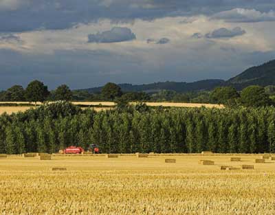 combining