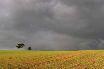 stormy skies over field