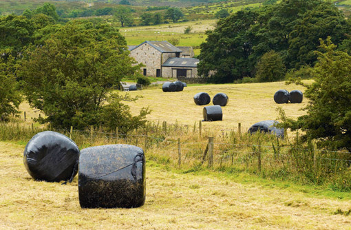 Silage