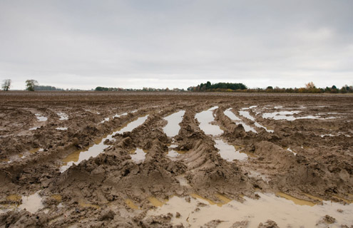 wheel-tramlines-in-wet-soil