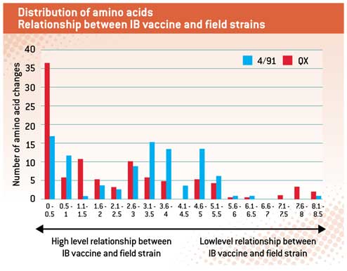 amino-acids