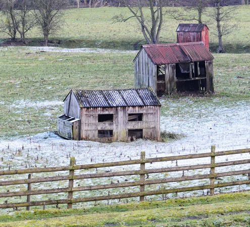 abandoned shed