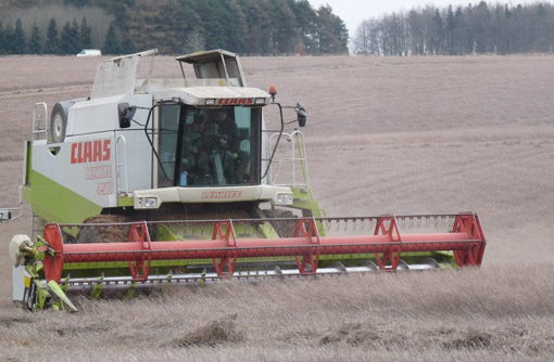 Harvesting linseed