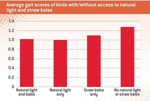 gait-scores