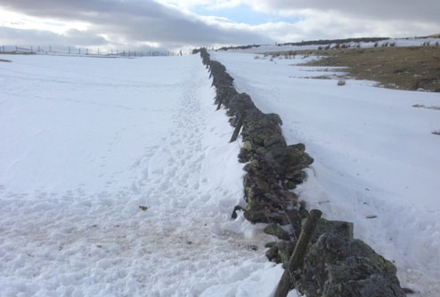 Top of a drystone wall peeks out of deep snow