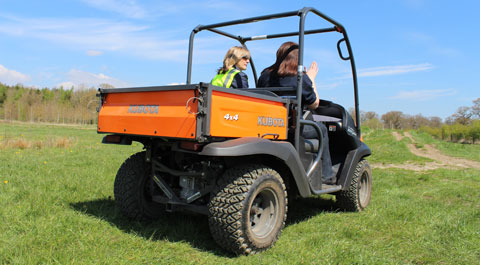 Kubota RTV500