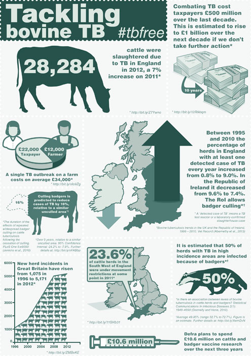 DEFRA Bovine TB Key Facts Visualised - Farmers Weekly