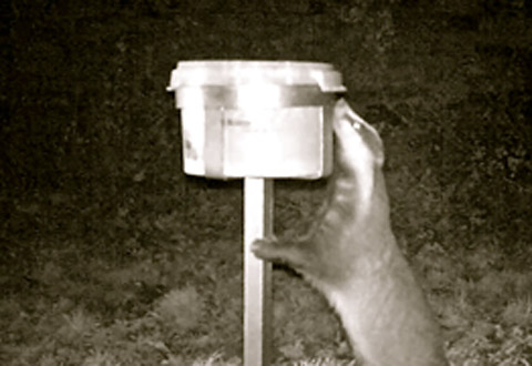 Feeder test Feeder test