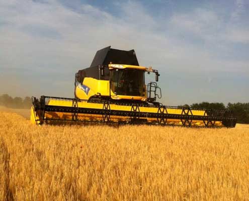 Winter barley harvest