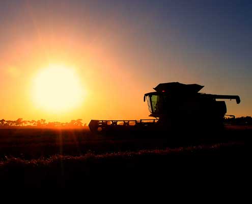 First day of winter barley harvest