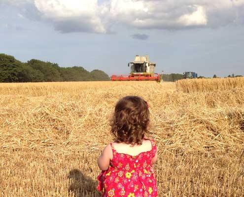 Little girl waits for her father in field of winter barley