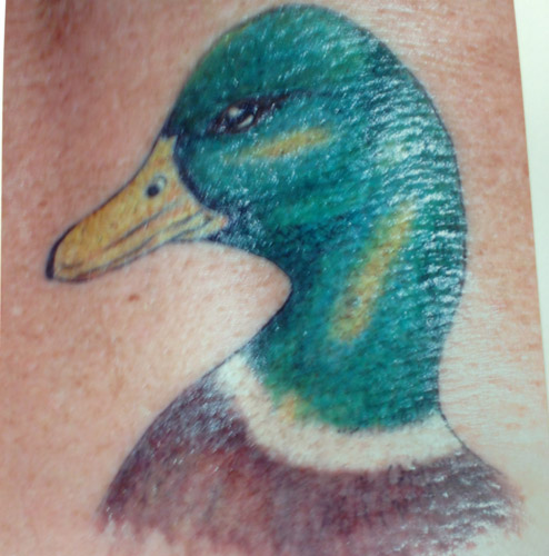 Duck tattoo