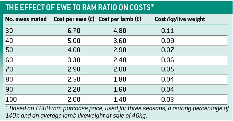 ewe/ram table